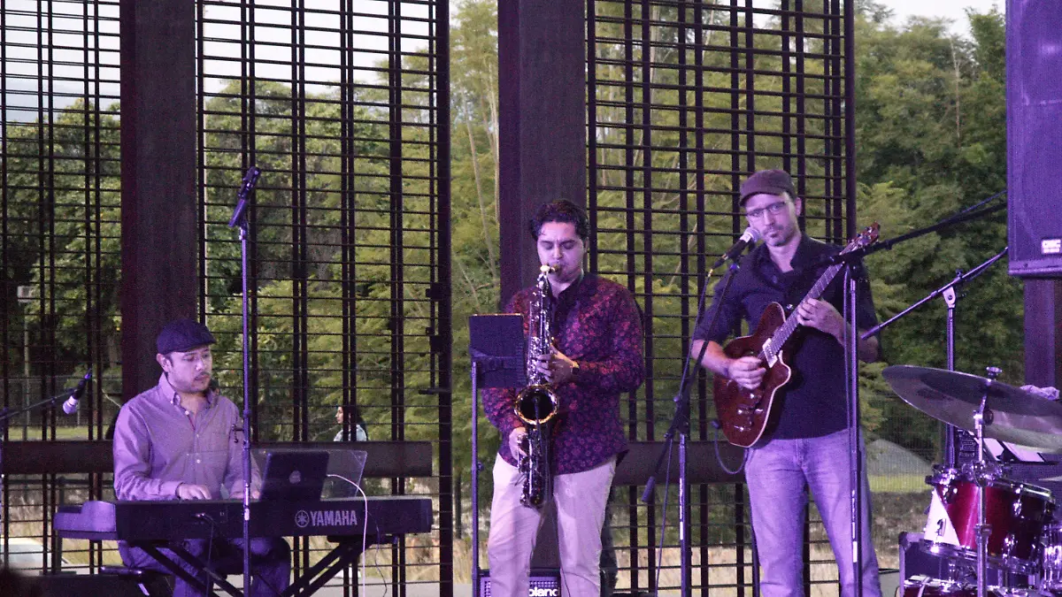 Noche Jazz (5)